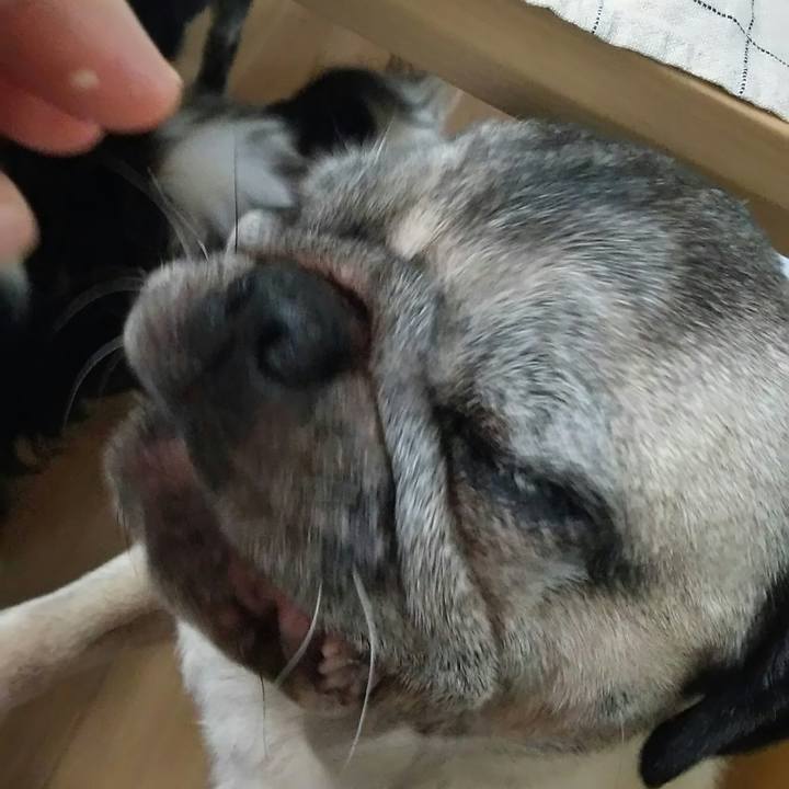 0af7b5ae 99fe 4201 b239 a05670338680