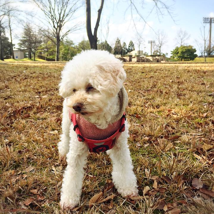 0af86ed9 48f2 472f a673 9b19082f15bc