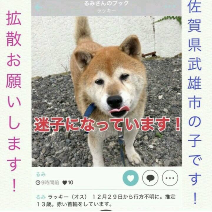 0af87aa1 f352 4d31 9cbb 97247d0f49e6