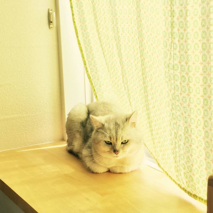 0af9bcaa 8b5d 4ce0 9772 3938cda5f65d