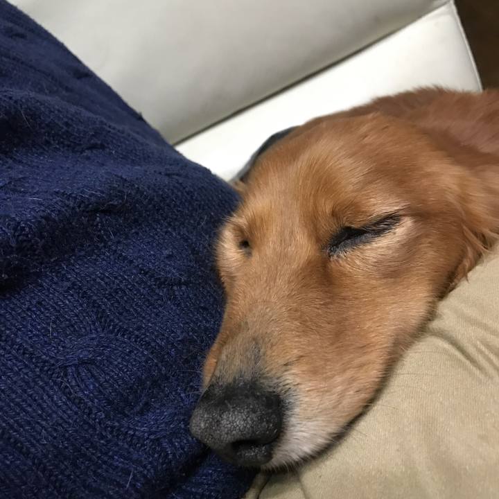 0af9e337 598c 44ac 8692 646db3da31c4