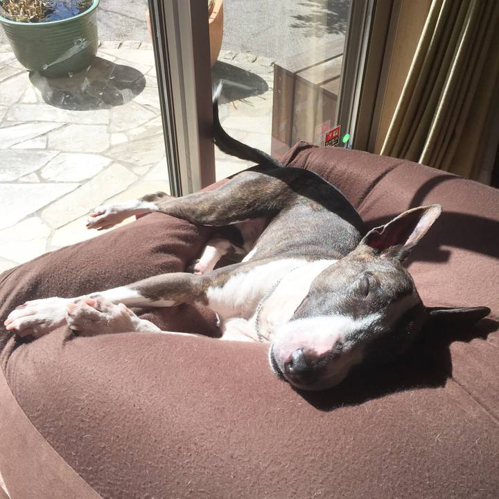 0afa06b5 ef66 4047 868a cd9a7ddf9dea