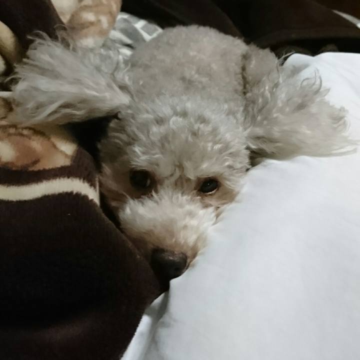 0afa0735 bf5a 40ec ba55 1d2dcc3453f1