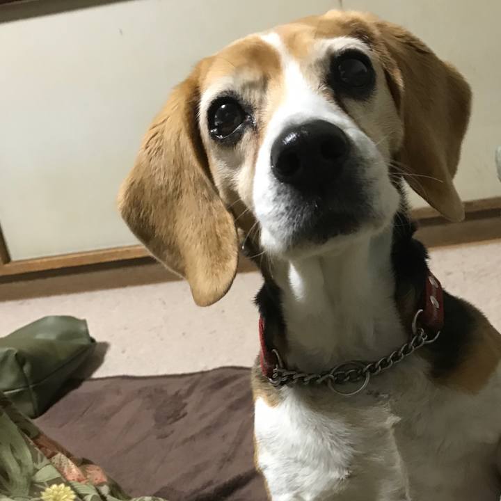 0afa8728 3c75 49b4 98fd 9cf2c8c540b1