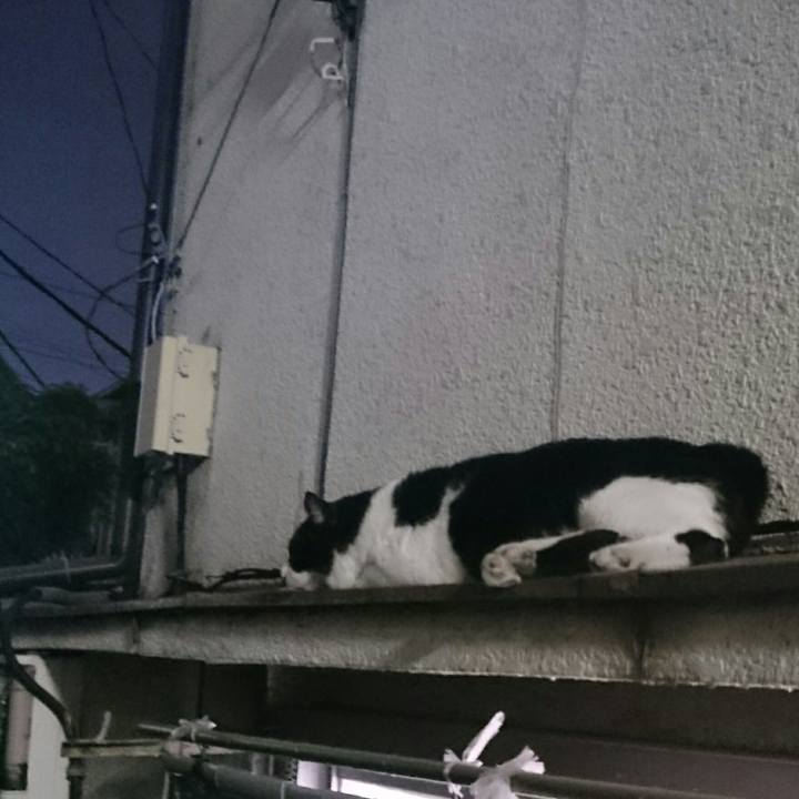 0afb4b67 4d8e 4428 b4a6 f401b0892bad