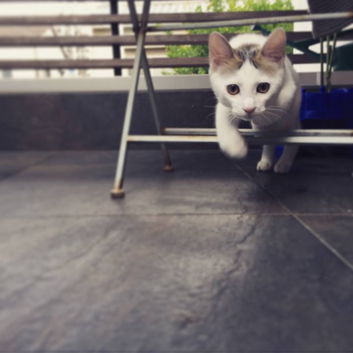 0afb9b8f e84a 4d45 a298 1ef990fa953b