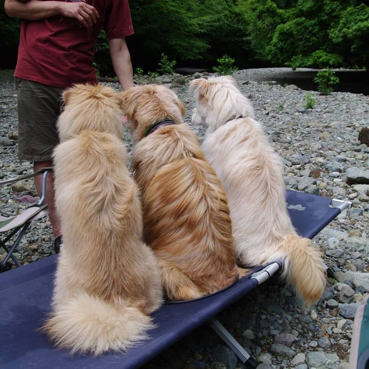 0afc21e0 8960 4288 a883 e57d81e5b725