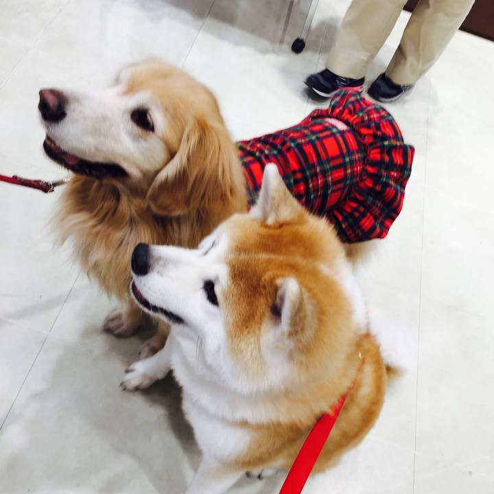 0afc62f5 63c8 40eb 99f7 4d00a2fc3fda