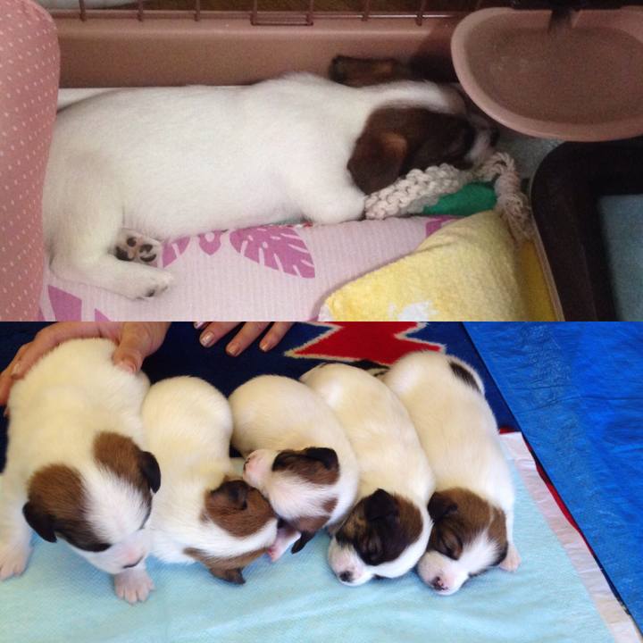 0afcb4b7 c369 453a a361 433e9479cb67