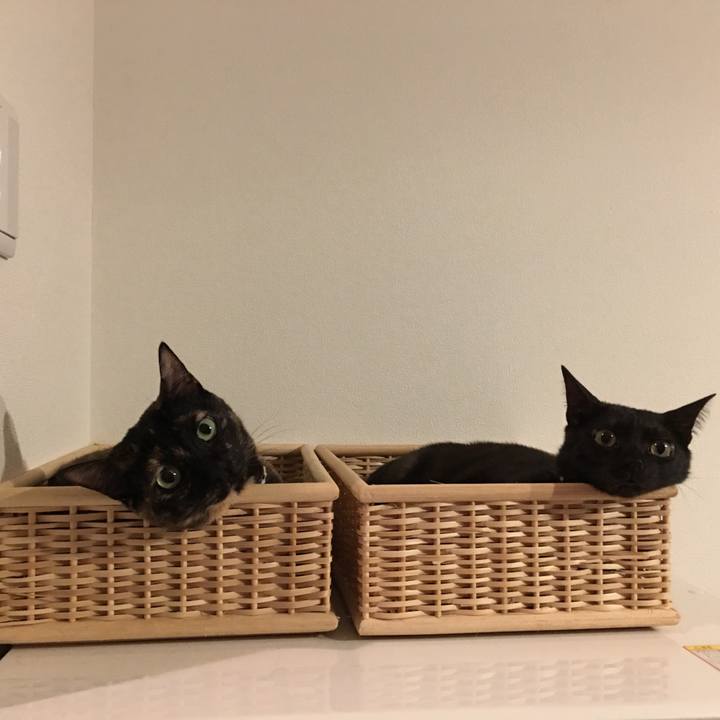 0afce09f ce4c 45a7 afde 5f6010ceae7e