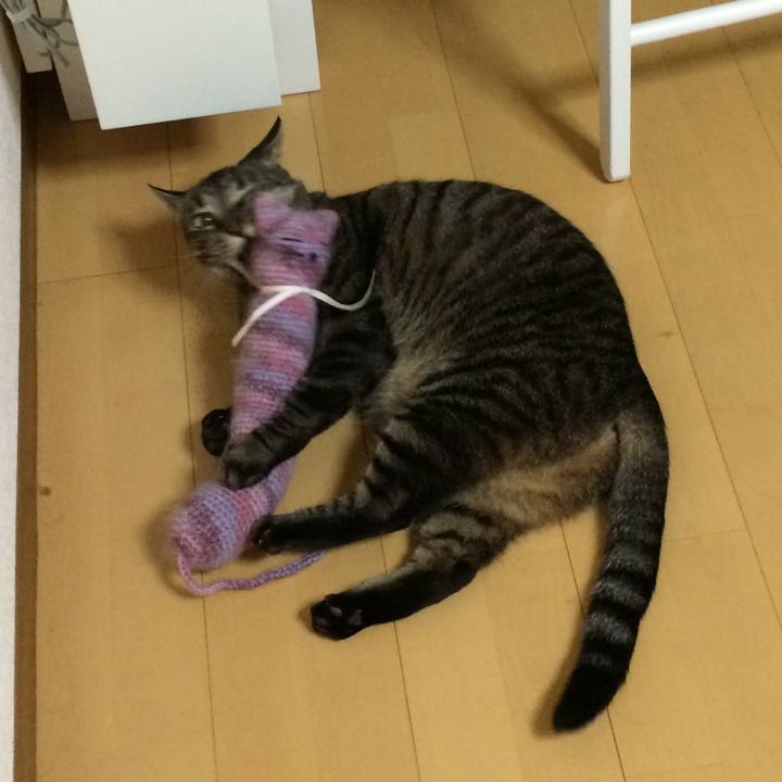 0afd1254 b83d 4f8f ae80 eb8857019db5