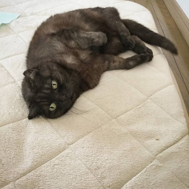 0afd890f debe 4e91 8bce 4044e1b7a4c9