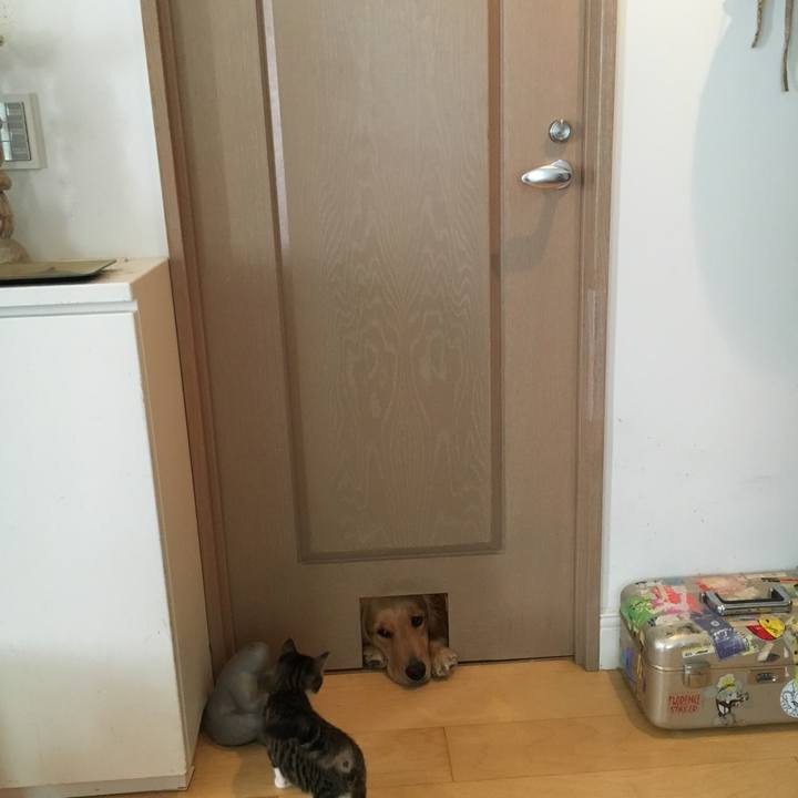 0afe47a7 0033 4891 add9 74e68daf0a33