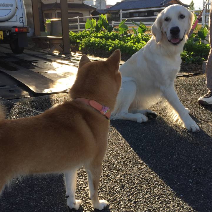 0afeaf58 50e8 4094 9a37 e705ad58c30f