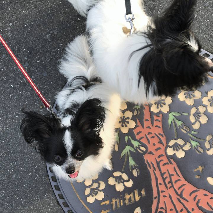 0afed388 6155 4b42 978c 7d23547c93c9