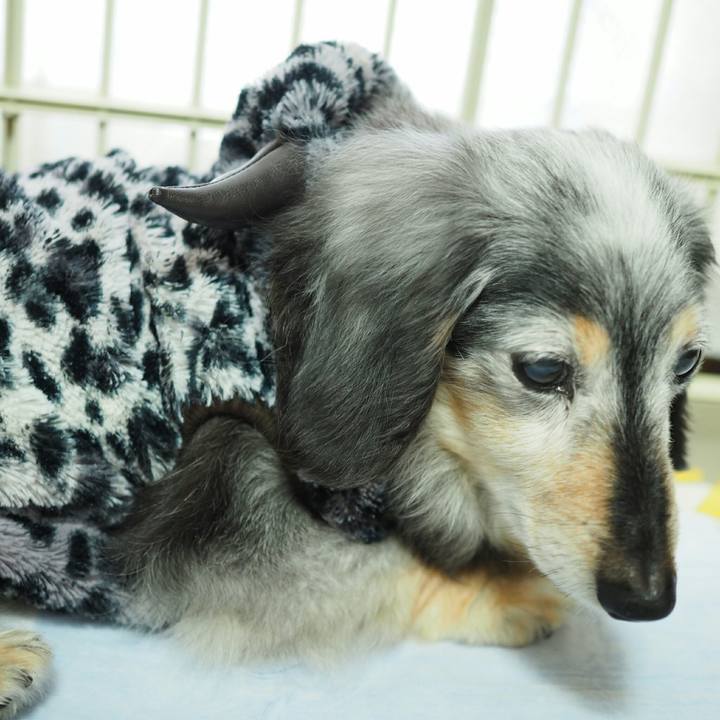 0aff0aa5 8c77 4f1b accf b0f658a9728f