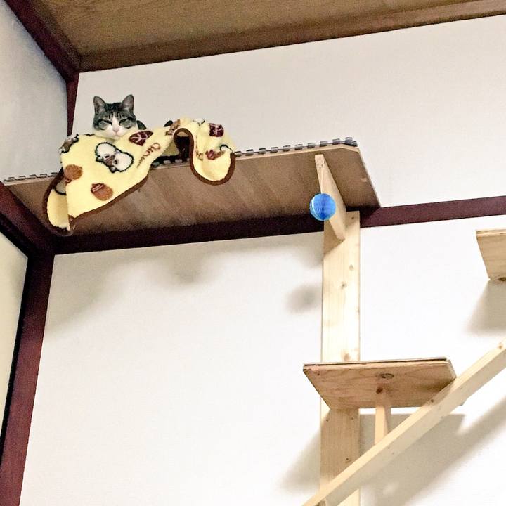 0aff2f2b bed0 496e ac79 928c1391d2be