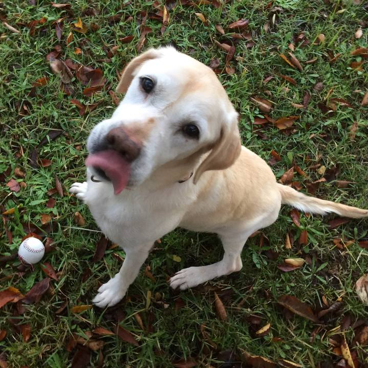 0aff3e2b 4632 4ae4 822b b3ae09d56d08