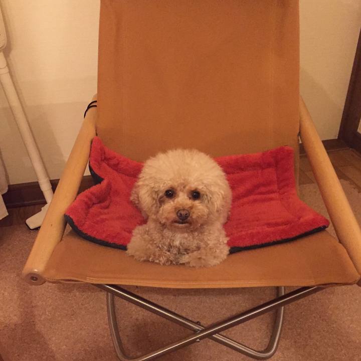 0b000dca b9db 4908 b4c0 aa68bbc03512