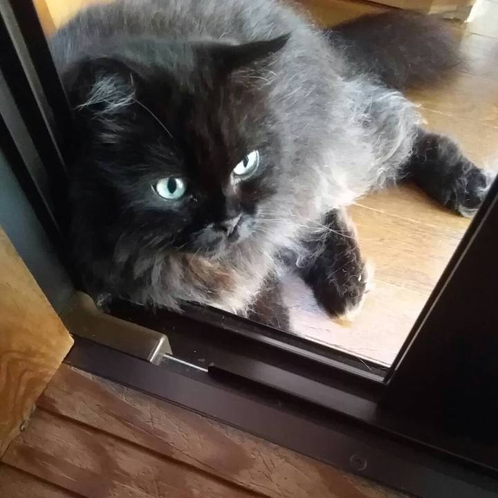 0b009187 63a1 4790 a23b 7c29a0a2e1c5