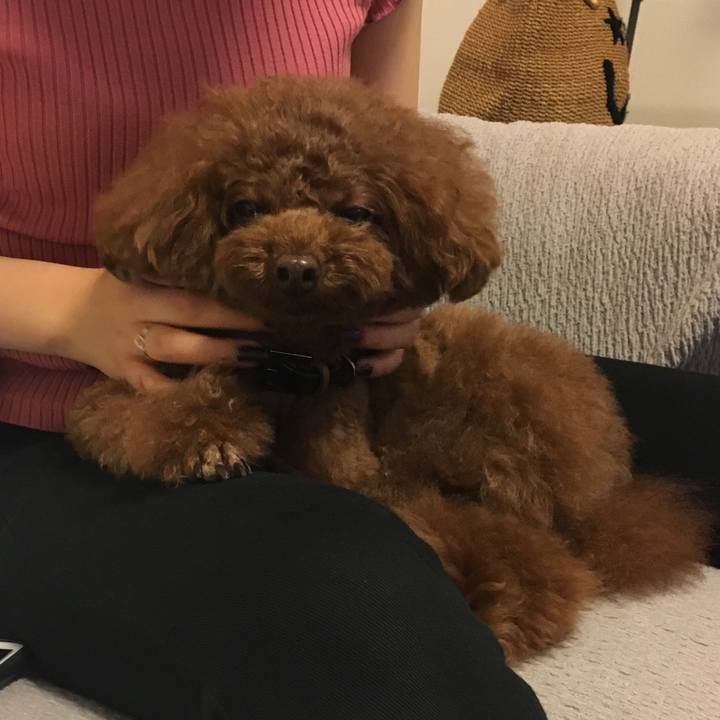 0b00b418 bb34 4df0 bfb3 5b080bee4437