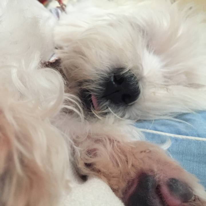 0b00bac9 2358 445a 92df 7c7f569275dc