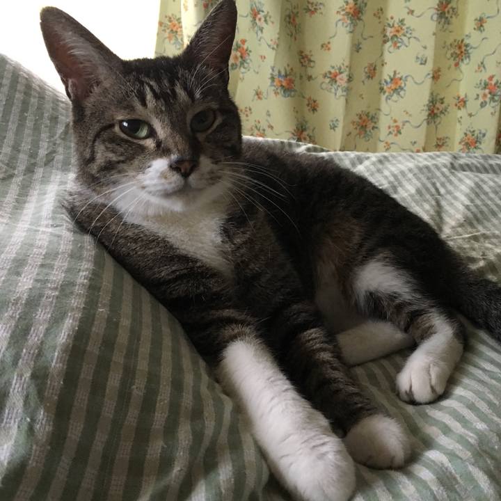 0b01fc5b e81d 45b6 8add 8915bab88602