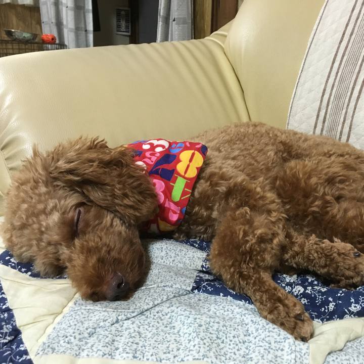 0b023210 ae51 4880 ad05 60c06af1cfb0