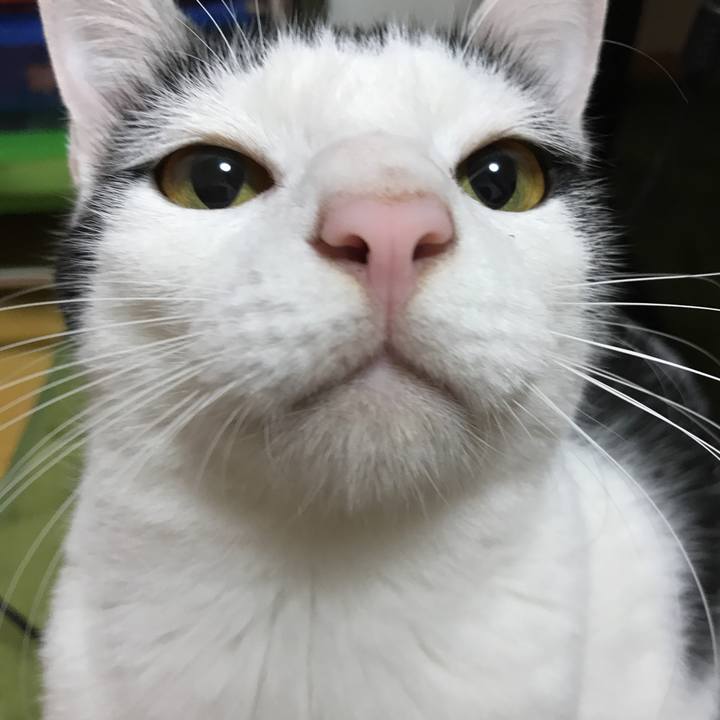 0b02e872 e8ef 4c4b 8472 ae1107a5aa15