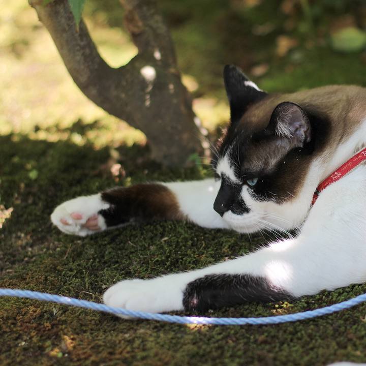 0b02efbf 60cc 4e97 96a8 e0aa5ad7a98b