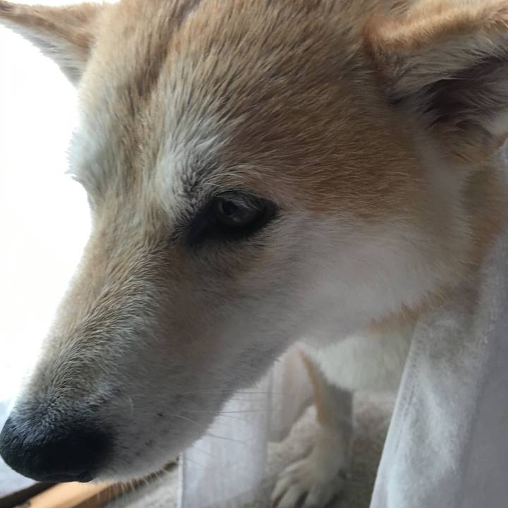 0b02f5d3 7391 4034 a7c3 0ef4925d7986