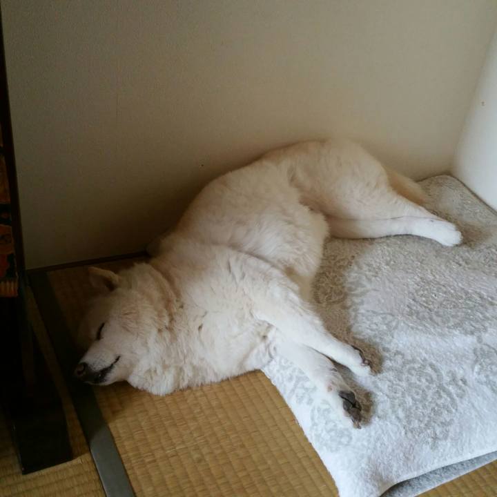 0b037b22 6366 4c91 95f9 c96f2932e658