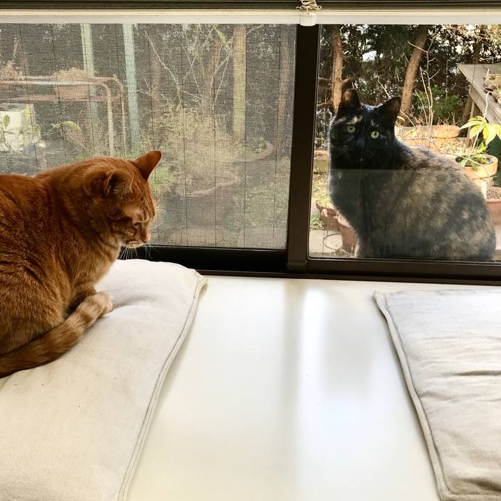 0b03d377 c2c9 4728 81cb 725803990324