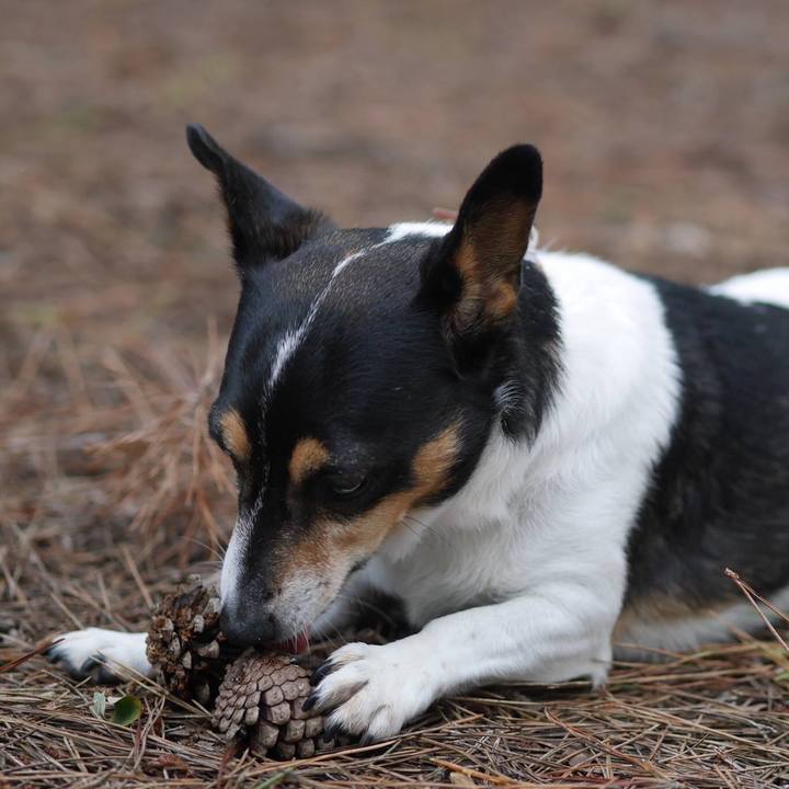 0b045ef6 1ffe 4007 bf92 fb1e88c74d29