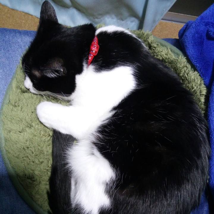 0b04f4df 9d96 4270 90d5 586f69756211