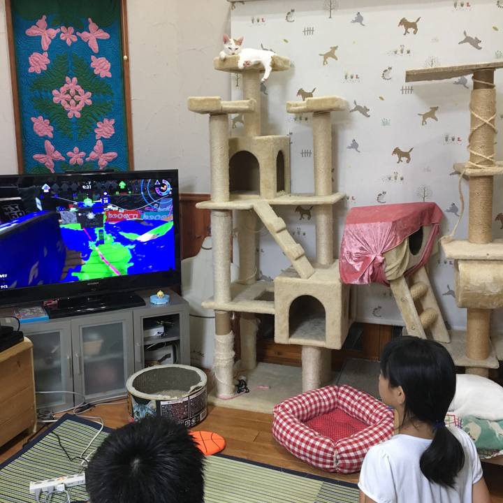 0b050dbd ce94 480c b112 1e2f18a26d40