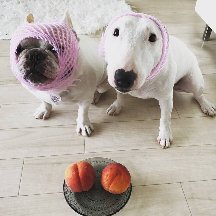 0b050df9 3267 4098 a3f1 3d8b7d6652ff