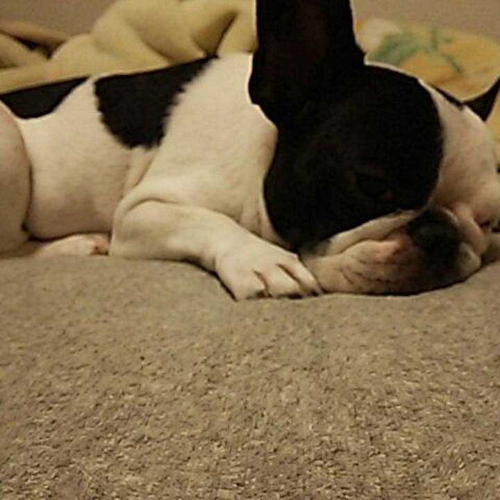 0b062fc5 bd2d 4078 9c1e 206bb1808002