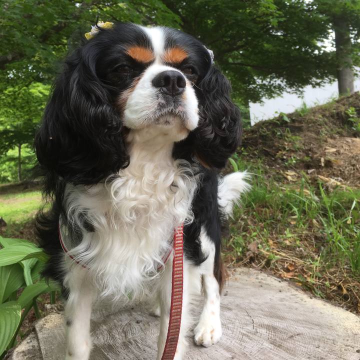 0b064996 8149 4d6d 8138 90a9c252c8f7