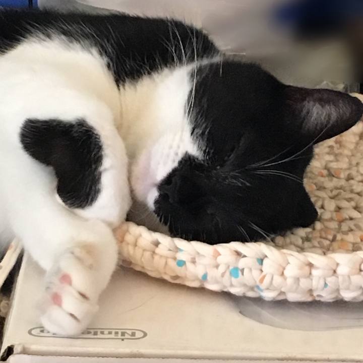 0b0671af e1a9 40df 987d 1af06155f811