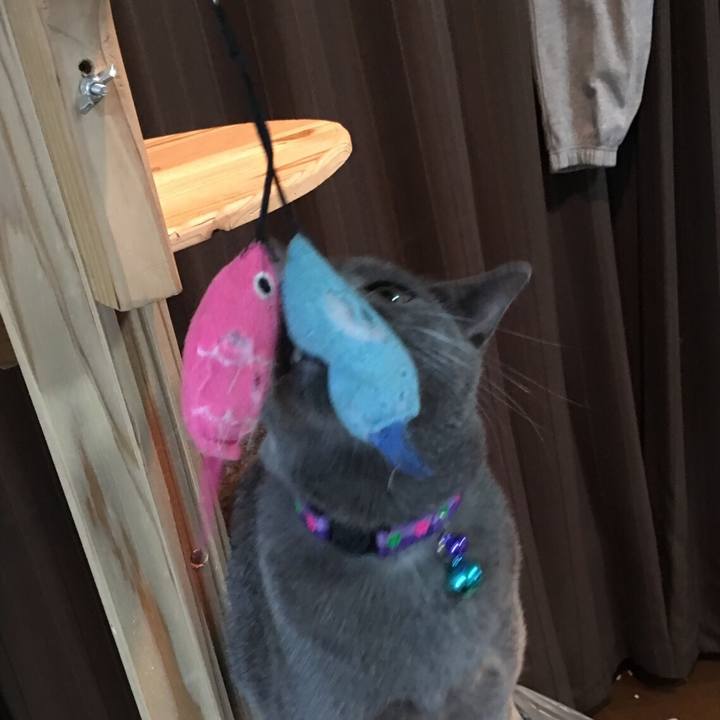 0b067dd0 444d 47bd a3c4 ab705119440b