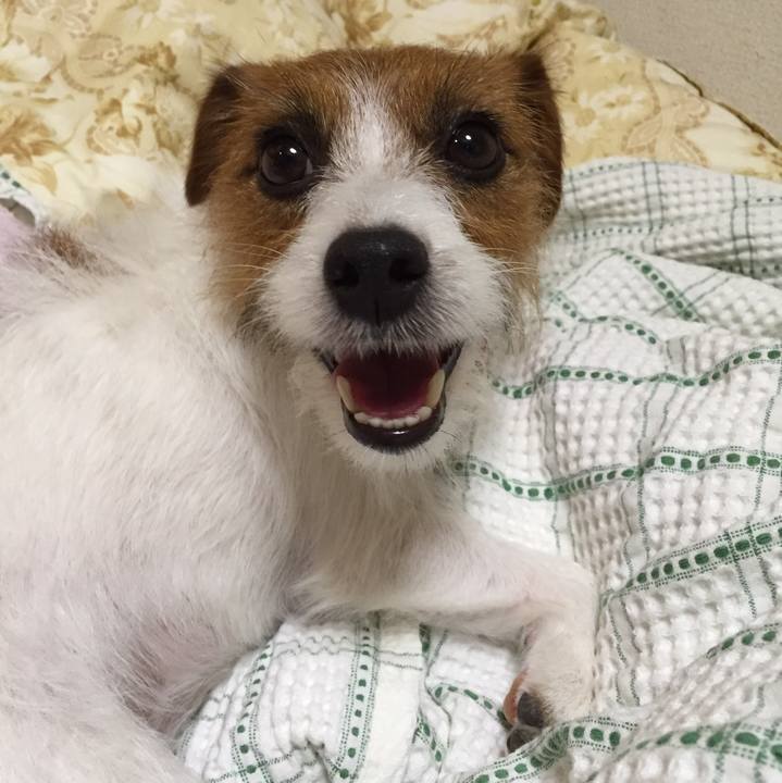 0b069eb5 9559 40cb b3e8 f542770dfd93