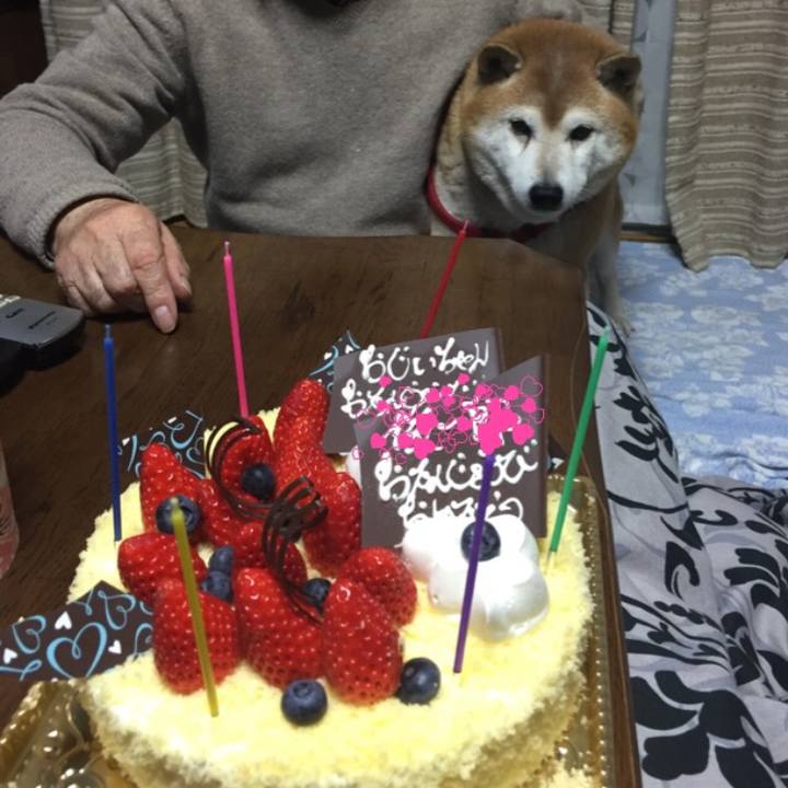 0b06af6e 7cde 45d9 8863 331b988fb6bf