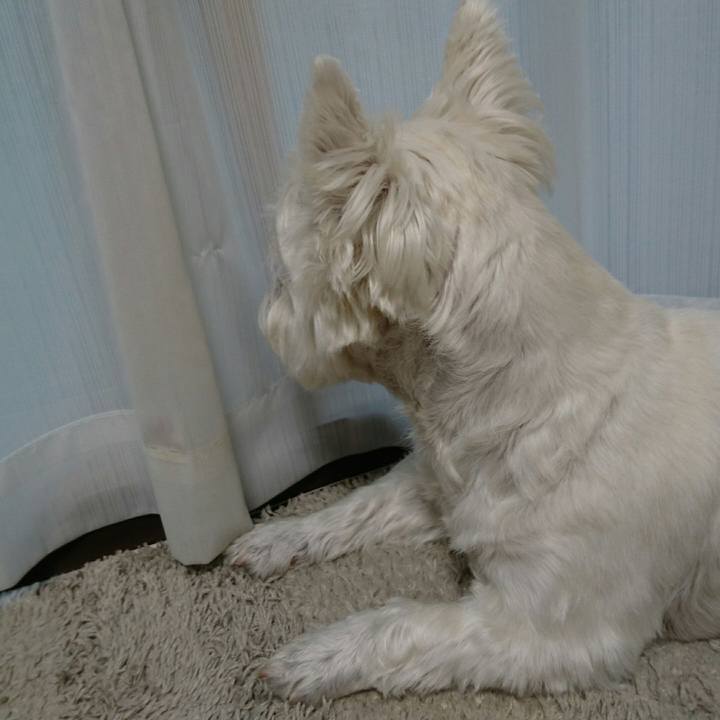 0b06eafc a14e 40ee 8a48 86a497d069ba