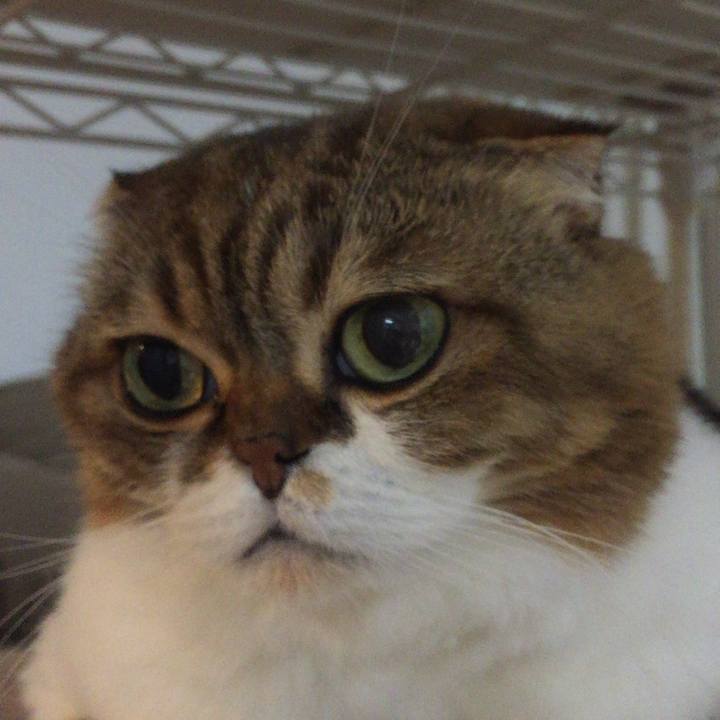 0b07019d 031f 4c82 a3c6 a39782ee7c47