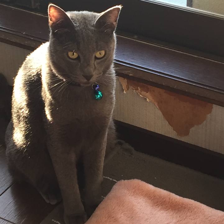 0b07631d 9e92 458e b4c9 1e7e2c1cb06f