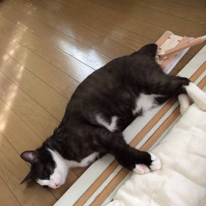 0b07ea34 4f4a 41ba a575 7fb7c453045c