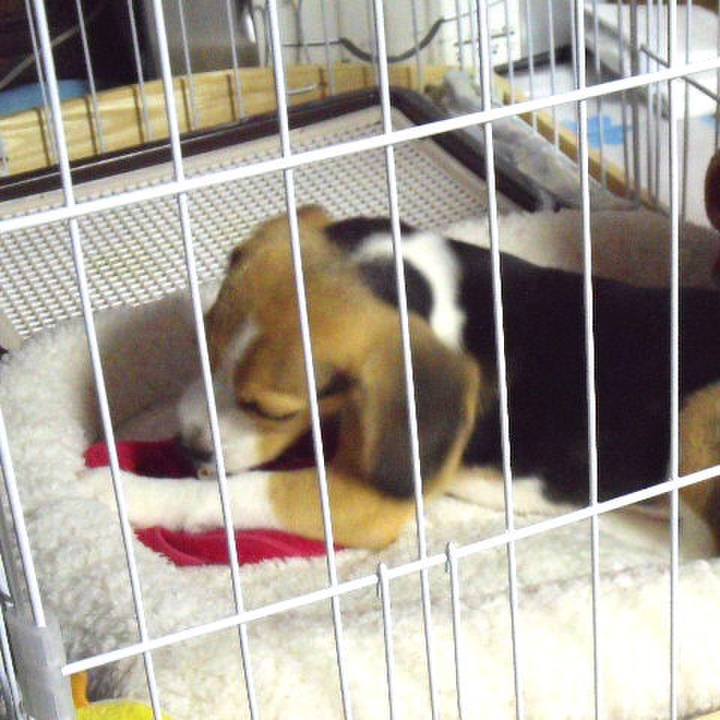 0b082b28 8b23 41a3 aae6 f69db4be621e