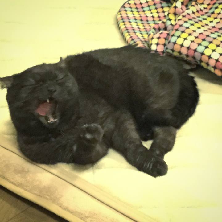 0b087a06 0c05 4b7d 8a51 6d0628bf0e61