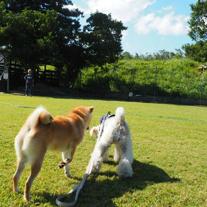 0b089670 ae78 47f7 98b7 002c6c5a2487